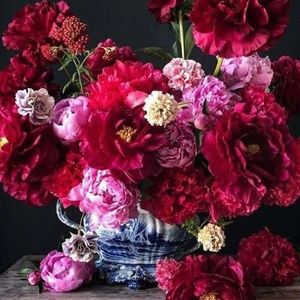 Meet your Posher, Eliana